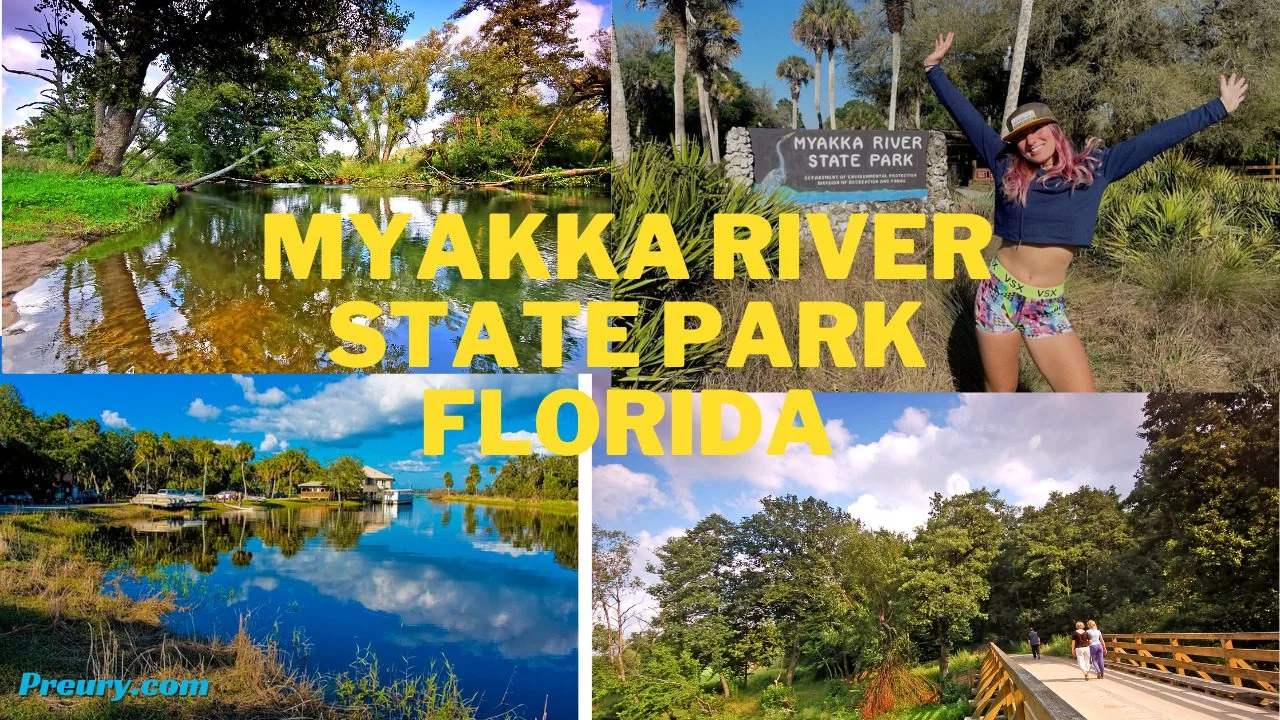 Myakka River State Park Florida