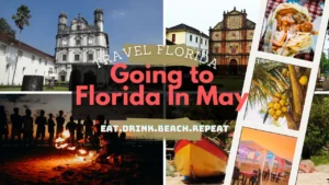 Things To Know Before Going to Florida In May