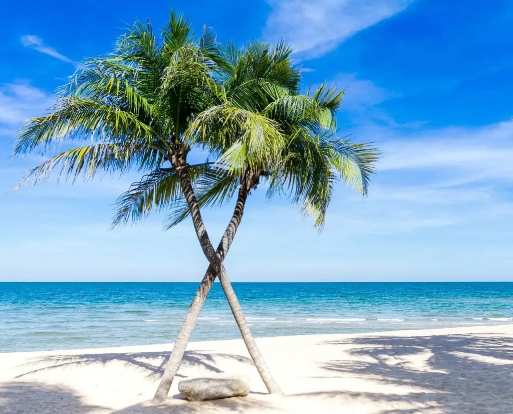 Warmest beaches in Florida right now