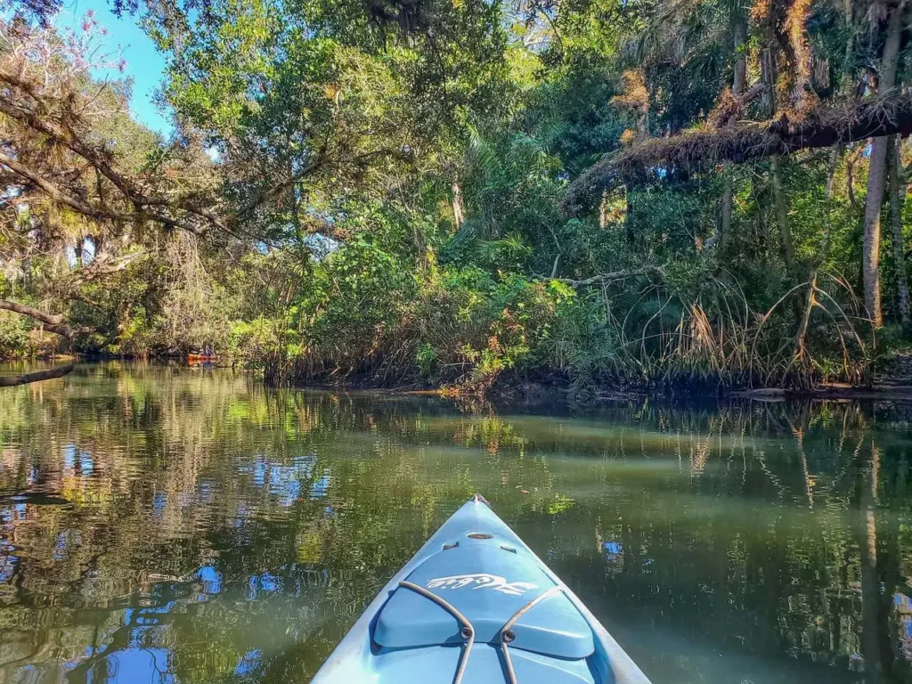 12 Gorgeous places to kayak with manatees in Florida