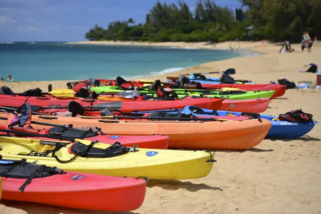 12 Gorgeous places to kayak with manatees in Florida