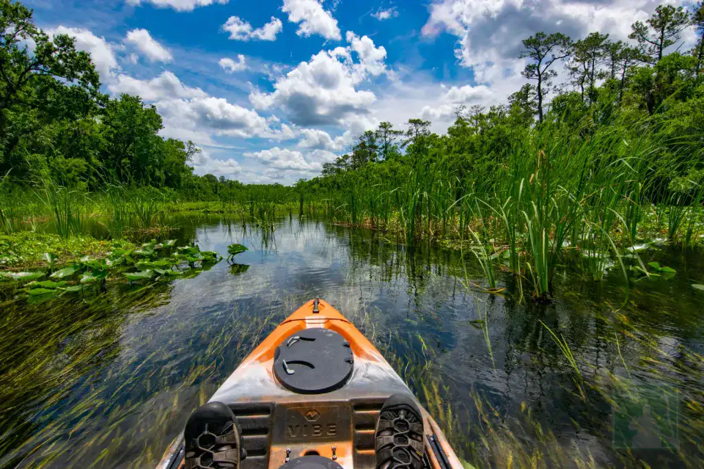 Alexander Springs