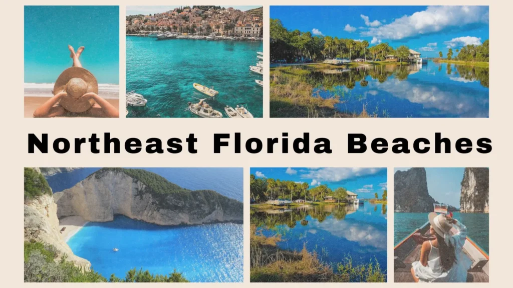 Best beaches in northeast florida