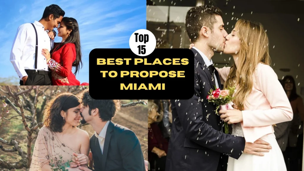 Best places to propose Miami