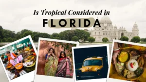 Is-Florida-considered-tropical-1