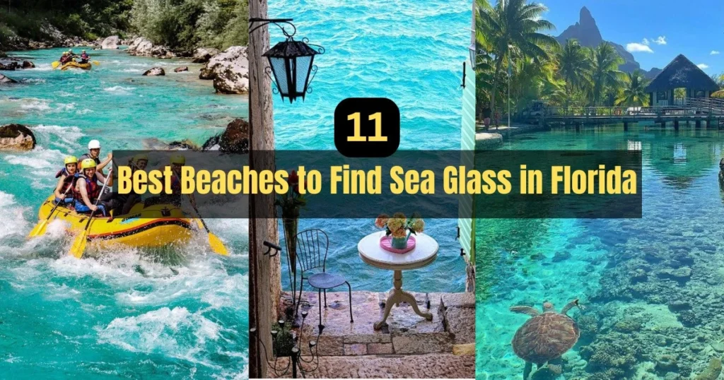 11 Best Beaches to Find Sea Glass in Florida