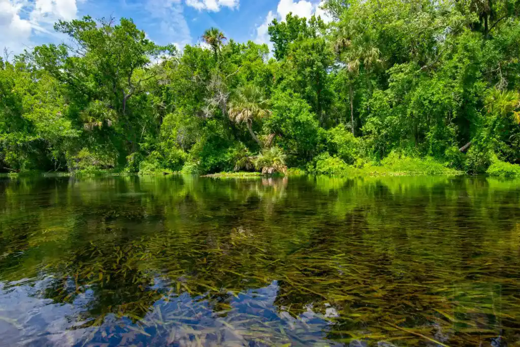 Alexander Springs