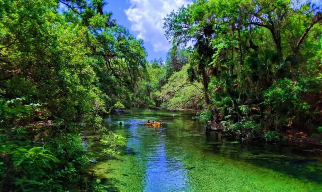 Blue Spring State Park