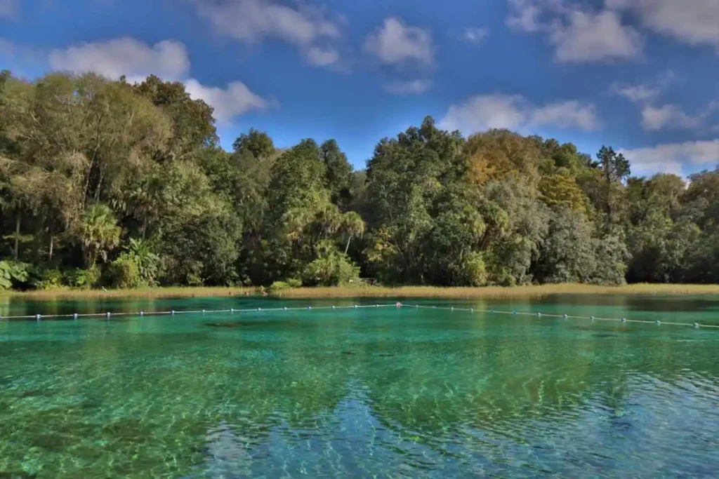 Rainbow Springs