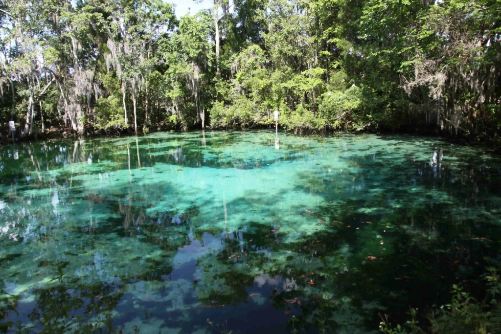 Three Sisters Springs