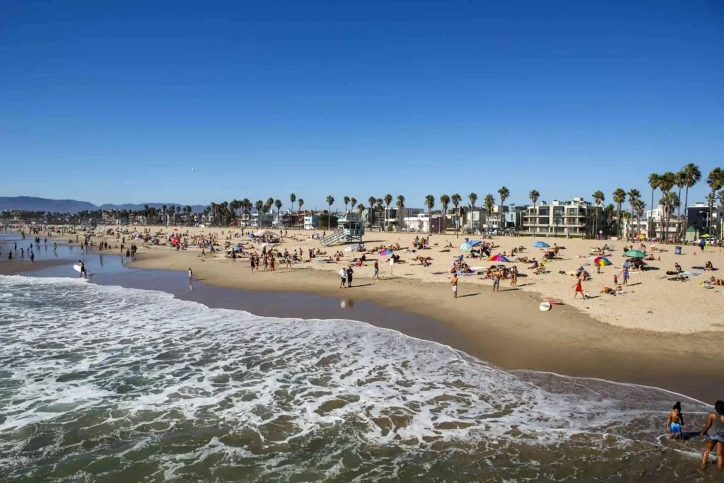 Venice Beach