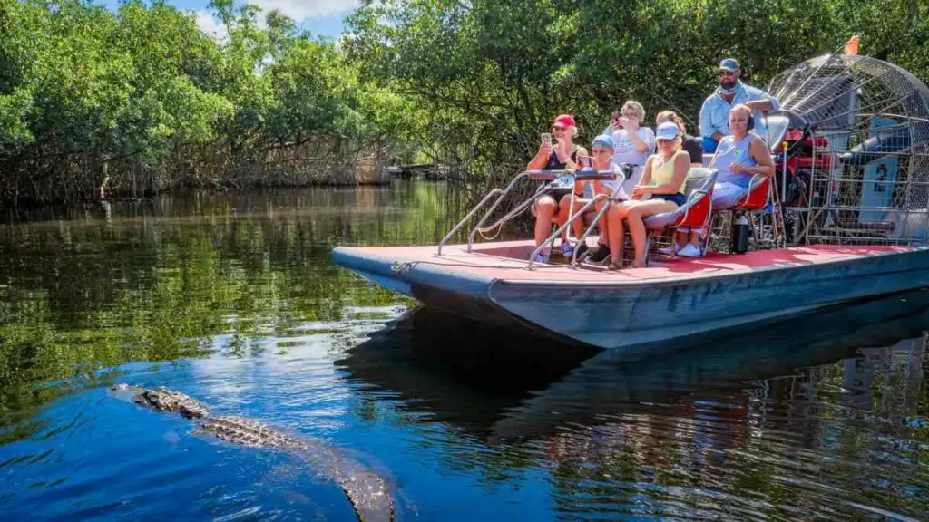 Everglades Airboat Tour